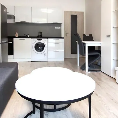 Utulny V Centru, S Krasnym Vyhledem Apartment *